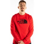 Bluza sportowa The North Face