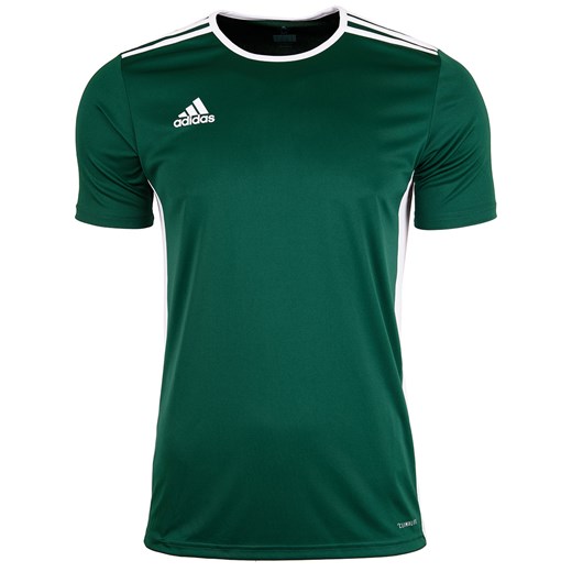 Bluza męska Adidas