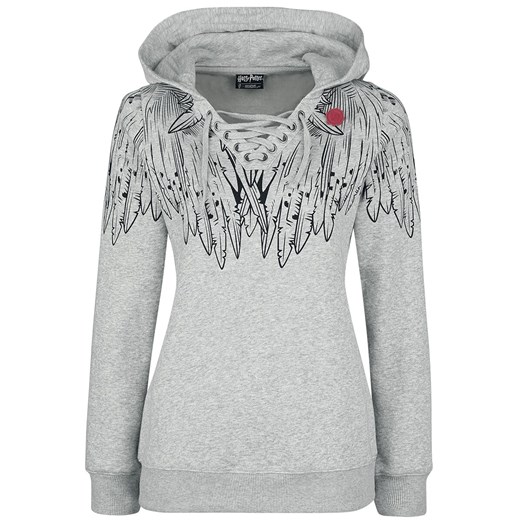 Harry Potter - Take Wing - Bluza z kapturem - odcienie jasnoszarego Harry Potter XL EMP