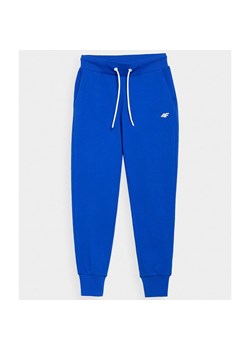 Spodnie damskie 4F niebieskie sportowe