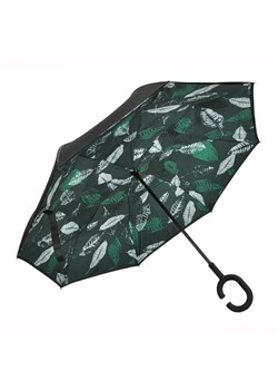 Gregorio parasol zielony