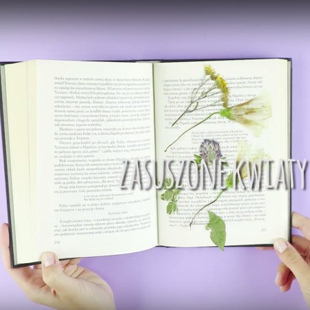 Książka z zasuszonymi kwiatami