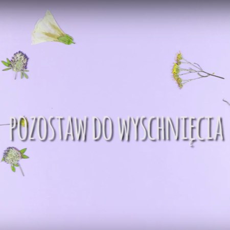 Pozostaw do wyschnięcia - suszone kwiaty