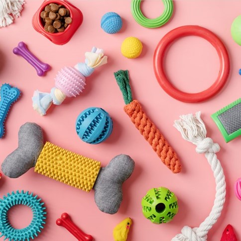 Akcesoria dla zwierzat