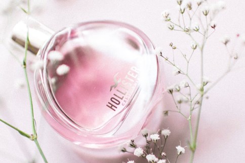 perfumy hollister