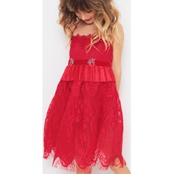 Anima By Justyna Steczkowska sukienka dziewczęca z bawełny czerwona  - zdjęcie produktu