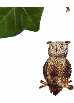 Broszka sowa średnia brąz Venus Galeria Venus Galeria - Magiczny Ogród Biżuterii Srebrnej - kod rabatowy
