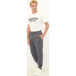 Spodnie męskie Pepe Jeans szare  - zdjęcie produktu