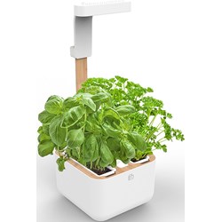 Kuchnia/jadalnia Veritable  - zdjęcie produktu