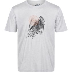T-shirt męski Regatta - Aktywnyturysta.pl - zdjęcie produktu