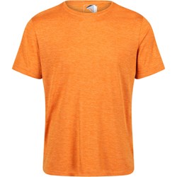 T-shirt męski Regatta - Aktywnyturysta.pl - zdjęcie produktu