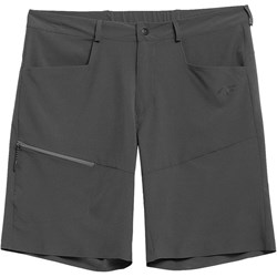 Spodenki męskie 4F w sportowym stylu  - zdjęcie produktu