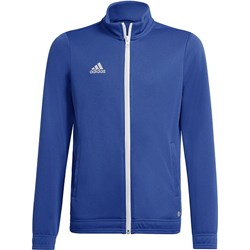Bluza męska Adidas  - zdjęcie produktu