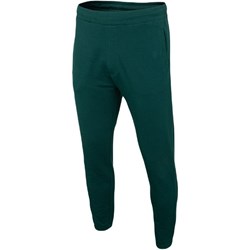 Spodnie męskie 4F - SPORT-SHOP.pl - zdjęcie produktu