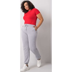 Basic Feel Good spodnie damskie szare z dresu  - zdjęcie produktu