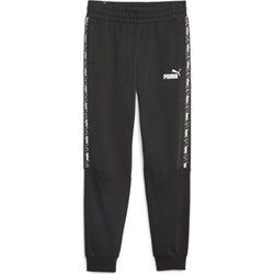 Spodnie męskie Puma  - zdjęcie produktu