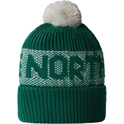 Czapka zimowa męska The North Face - streetstyle24.pl - zdjęcie produktu
