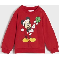 Bluza/sweter Sinsay - zdjęcie produktu