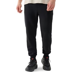 Spodnie męskie 4F  - zdjęcie produktu