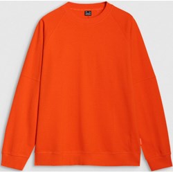 Bluza męska 4F w sportowym stylu  - zdjęcie produktu