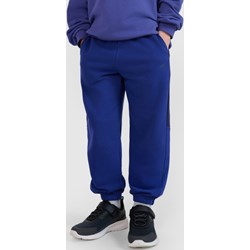 Spodnie chłopięce 4f Junior - Sportstylestory.com - zdjęcie produktu
