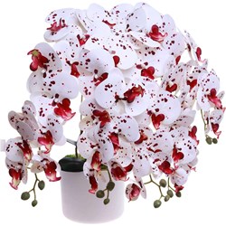 Dekoracja Pantofelek24  - zdjęcie produktu