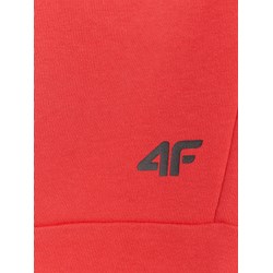 Spodnie chłopięce 4f Junior - Sportstylestory.com - zdjęcie produktu