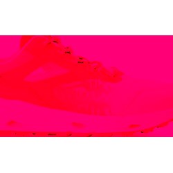 Buty trekkingowe damskie Jack Wolfskin sportowe wiązane płaskie  - zdjęcie produktu