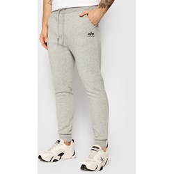 Spodnie męskie Alpha Industries  - zdjęcie produktu