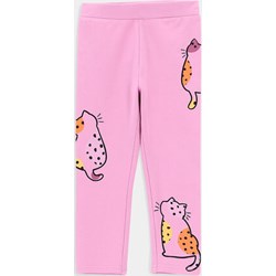 Legginsy niemowlęce  - zdjęcie produktu