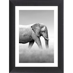 Obraz Ars Longa  - zdjęcie produktu