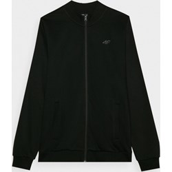 Bluza męska 4F na jesień casual  - zdjęcie produktu