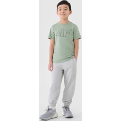 Spodnie chłopięce 4f Junior - Sportstylestory.com - zdjęcie produktu