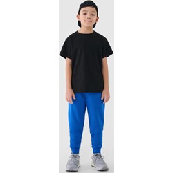 Spodnie chłopięce 4f Junior - Sportstylestory.com - zdjęcie produktu