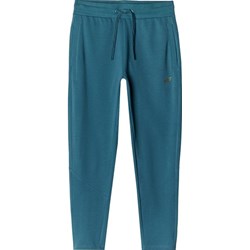 Niebieskie spodnie męskie 4F  - zdjęcie produktu