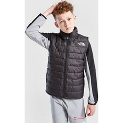 Kamizelka męska The North Face - JD Sports  - zdjęcie produktu