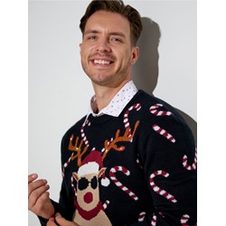 Sweter męski Sinsay - zdjęcie produktu