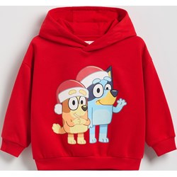 Bluza chłopięca Reserved - zdjęcie produktu