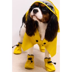 Dla zwierząt Mohito - zdjęcie produktu