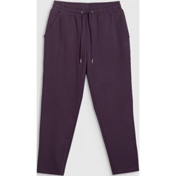 Spodnie damskie 4F - Sportstylestory.com - zdjęcie produktu