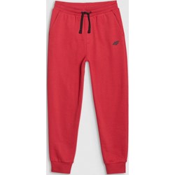 Spodnie chłopięce 4f Junior  - zdjęcie produktu