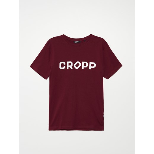 T-shirt męski Cropp 