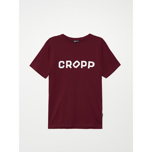 Cropp - Koszulka z nadrukiem - kasztanowy ze sklepu Cropp w kategorii T-shirty męskie - zdjęcie 100887319