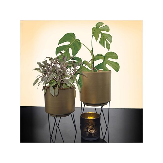 Doniczki (2 szt.) w kolorze złoto-czarnym Rétro Chic onesize Limango Polska