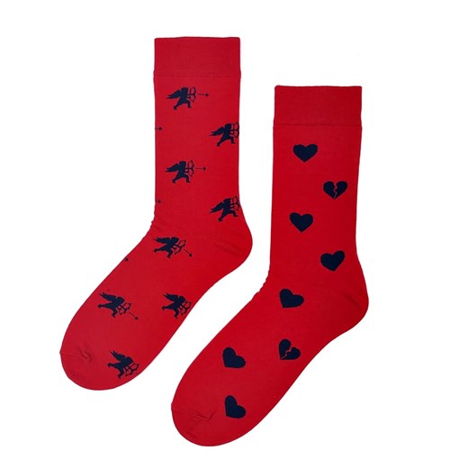 Skarpetki męskie Regina Socks