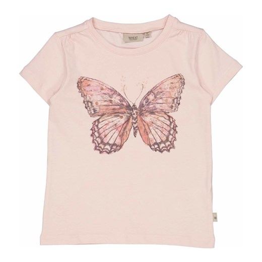 T-Shirt Butterfly 116cm / 6y showroom.pl