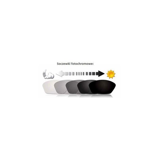 Okulary ARCTICA S-157F Fotochromowe Polaryzacyjne Arctica Stylion