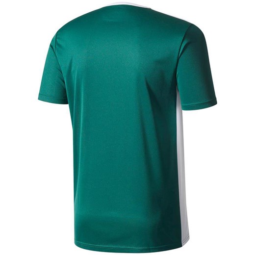 Koszulka męska adidas Entrada 18 Jersey zielona CD8358 promocyjna cena Bagażownia.pl