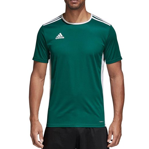 Koszulka męska adidas Entrada 18 Jersey zielona CD8358 promocja Bagażownia.pl