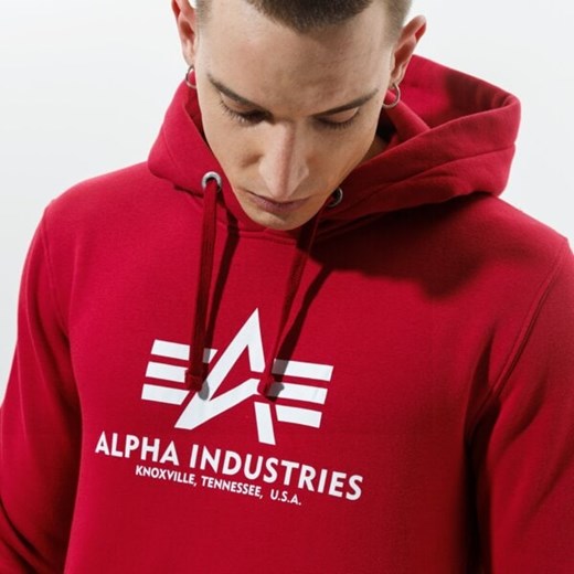 Bluza męska Alpha Industries młodzieżowa 